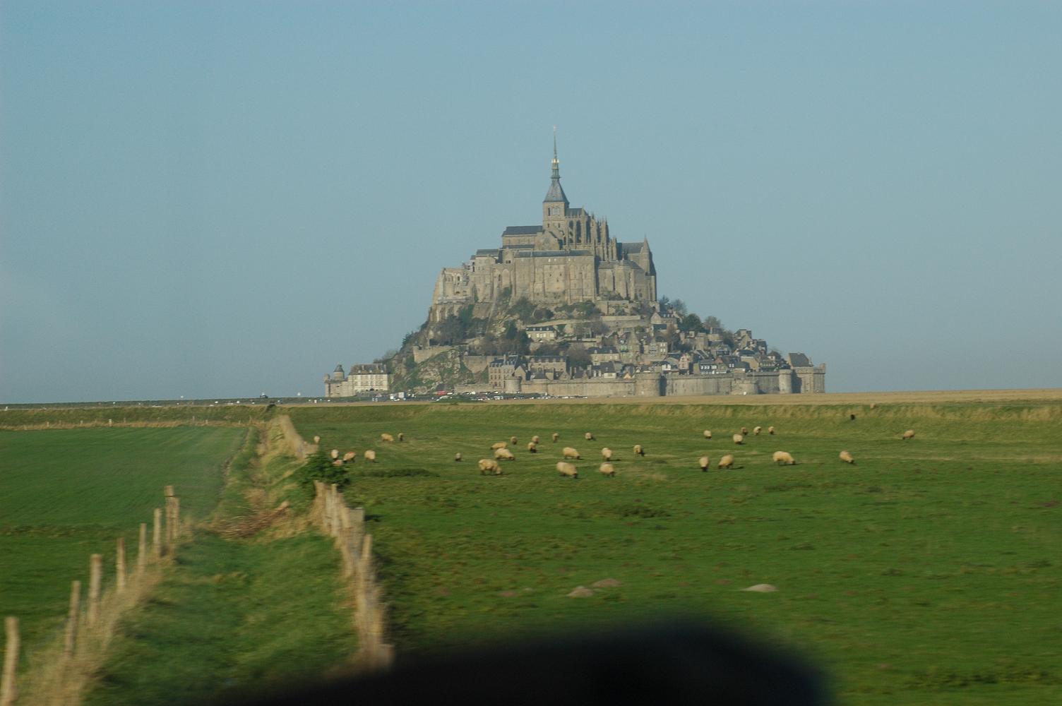 d0080118_2126140.jpg