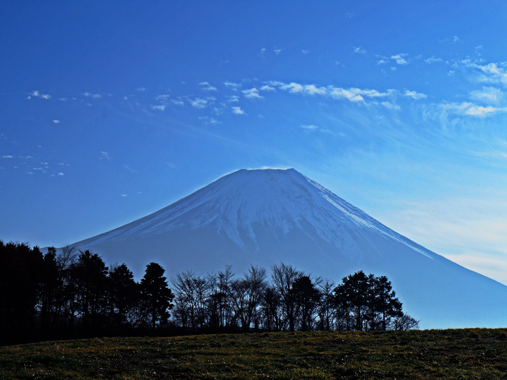 秀麗富士_f0035323_6243237.jpg