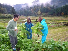 冬野菜収穫と田舎ぐらし体験ツアー_e0061225_1215420.jpg