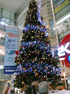 b0062337_194572.jpg