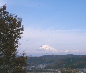 f0043750_17502952.jpg