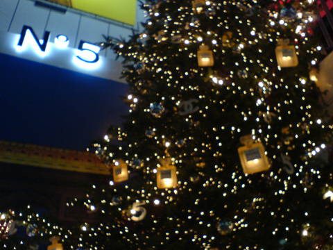 f0073254_056305.jpg