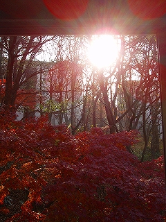 12/16 横浜アリーナ_c0098756_150105.jpg