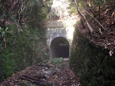 c0002874_19051.jpg