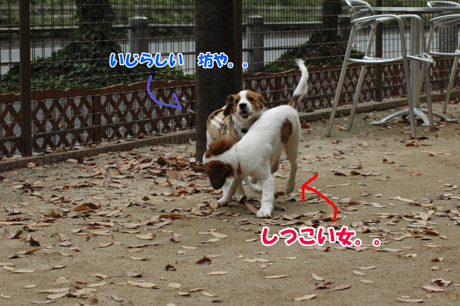 c0075585_035122.jpg