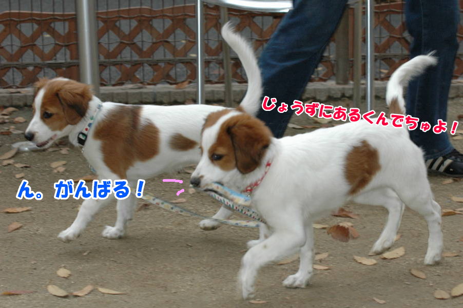 c0075585_047423.jpg