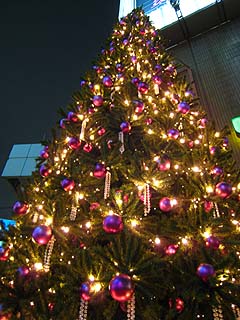 Tokyo Christmas \'06 ～Ebisu～_d0029198_2135779.jpg