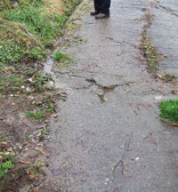 f0004698_22182454.jpg