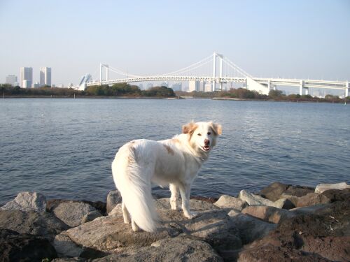 a0032004_2205655.jpg