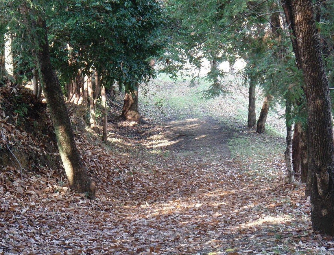 d0051106_1423222.jpg