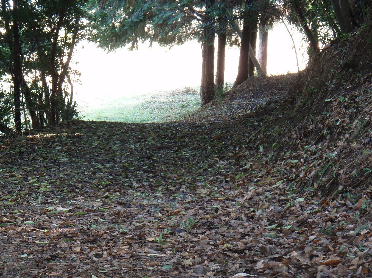d0051106_14235591.jpg