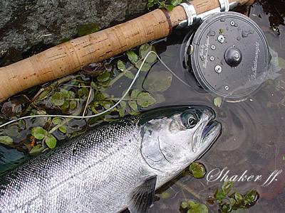 f0021008_13255.jpg