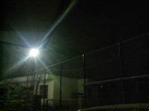 b0031009_8335663.jpg