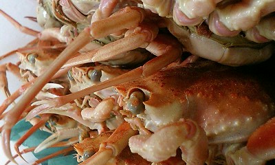 b0097729_14165690.jpg