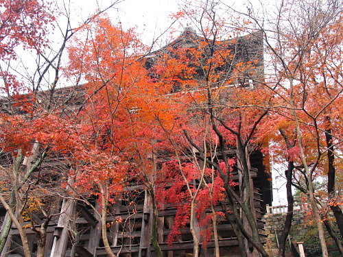 晩　秋　の　清　水　寺　_d0038630_21441522.jpg