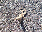 d0063438_1934119.jpg