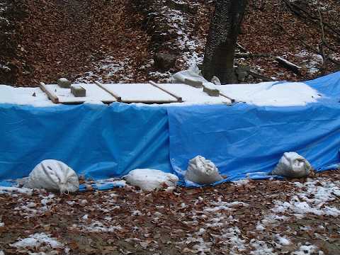 f0090444_21505910.jpg