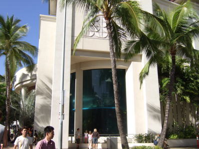 c0023545_8365929.jpg