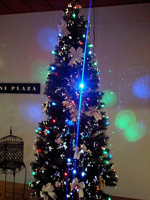 a0077663_1951195.jpg