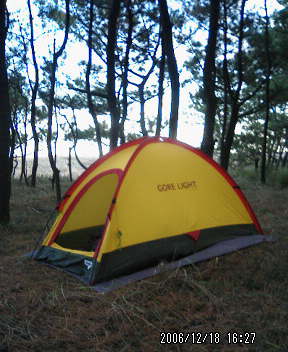 d0098665_17414496.jpg