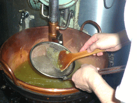 a0084767_16365114.gif
