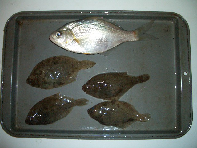 本日の釣果_c0024385_13322342.jpg