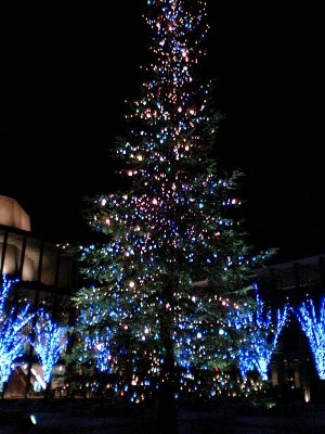 f0079996_13121981.jpg