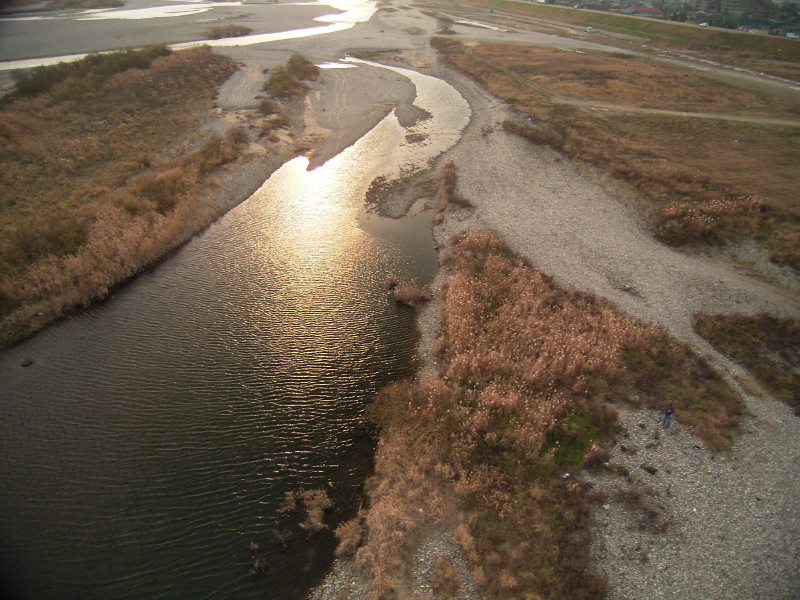 大門庄川の河川敷より_f0084796_05671.jpg