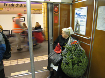 e0038811_20121635.jpg