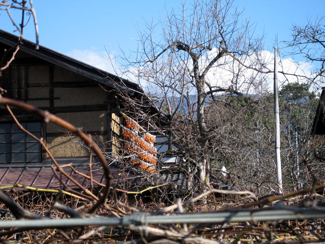 ■松里地区で見られる初冬の風物詩「ころ柿のすだれ」_f0077613_18104038.jpg