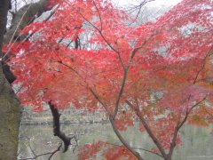 b0089323_18483461.jpg