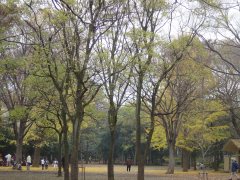 b0089323_18491893.jpg