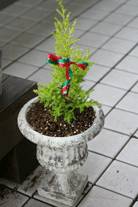 d0033230_1273699.gif