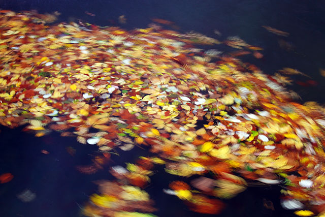 c0067040_23563961.jpg