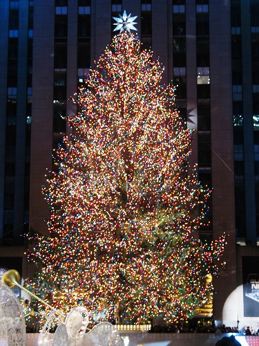 街中クリスマスツリー Rockefeller Center T N Kafe