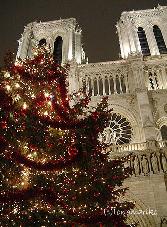 ノートルダムとクリスマスツリー_c0024345_6253234.jpg