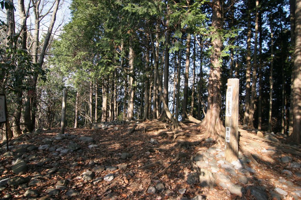 c0008948_1358872.jpg