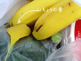 ☆北風とケーキとハンバーグ☆_c0092953_7101644.jpg