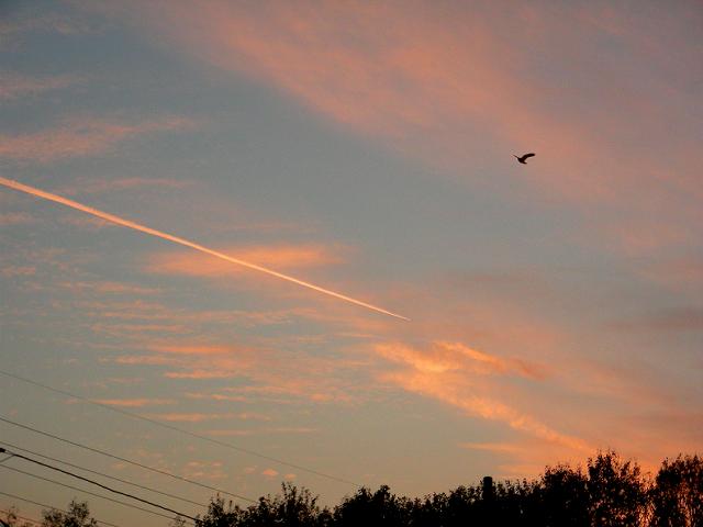 a0044076_20561372.jpg