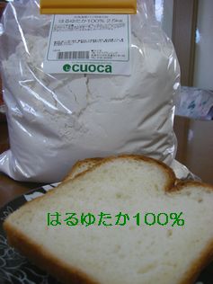 c0093180_7322858.jpg