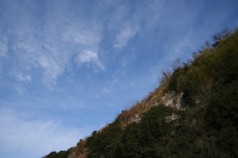 e0024081_16393723.jpg