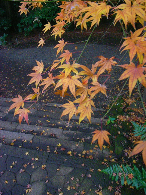 e0027083_23562017.jpg