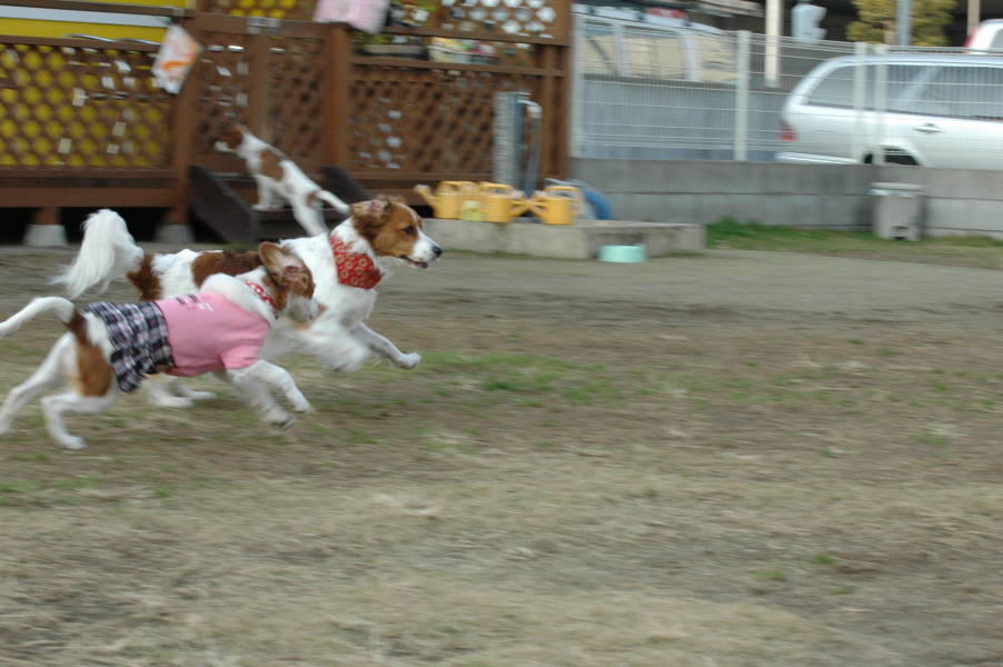 c0075585_1816.jpg