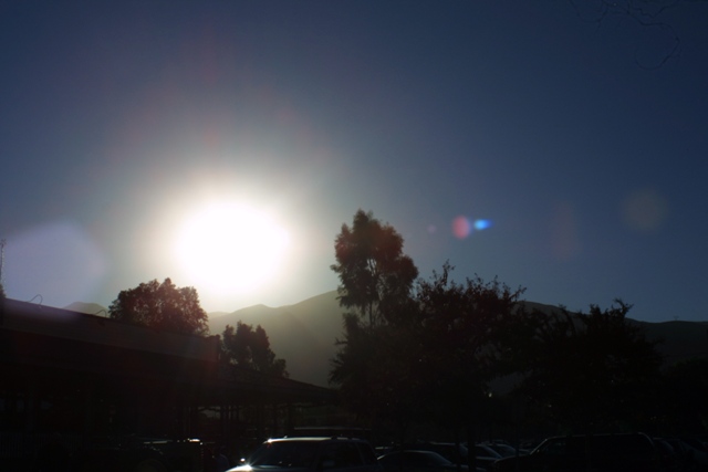 c0062603_17251442.jpg