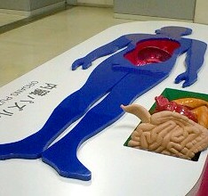 f0032403_22463397.jpg