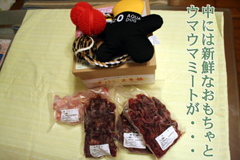 e0072606_2263478.jpg