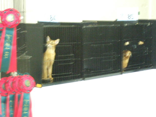 c0074908_213364.jpg