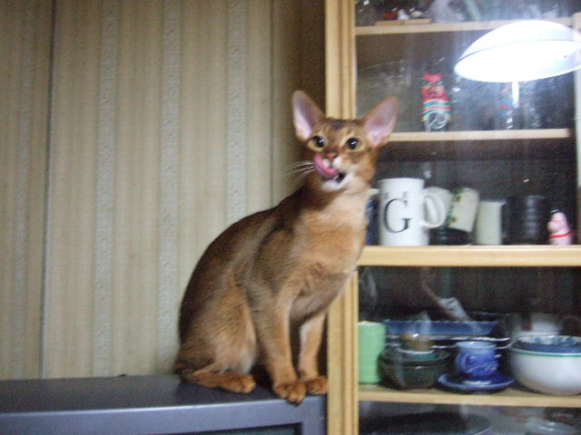 c0074908_218139.jpg