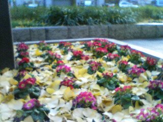 f0090009_137759.jpg