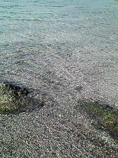 d0065116_2134035.jpg